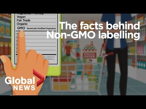 How much do you know about GMOs?