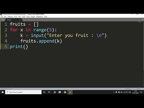 How to take user input in a list in Python