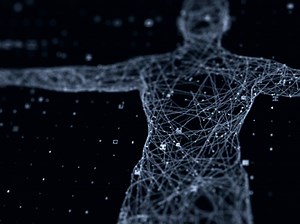 What Is the Internet of Bodies?