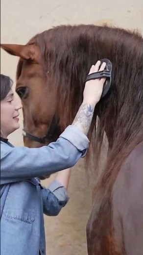 Sampson, aka Mammoth: The Biggest Horse Ever