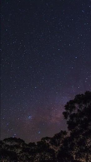 A night in the stars !