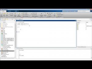 How to use MATLAB input Function