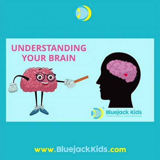 Understanding Your Brain