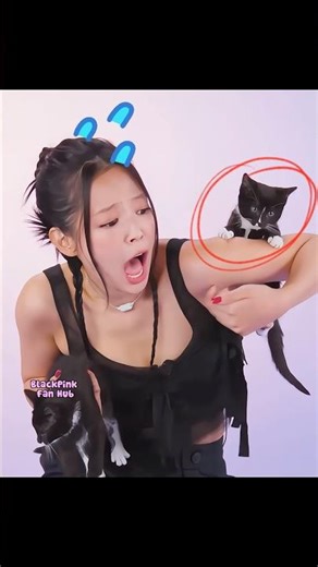 BLACKPINK members vs Rosé around pets 😂🐾 #shorts #blackpink #rose