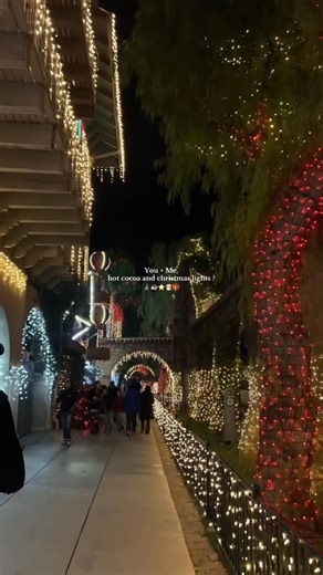 INLAND EMPIRE, CA 📍Things To Do I Places To Eat 🍽️ on Instagram: "@inlandempireca holiday date nights >> 🥹🎄🫶 such a cute FREE date night idea if you’re in the Riverside, CA area 📸: @an.gelicuh #datenight #christmaslights #dateideas #riverside #inlandempire"