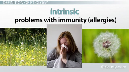 Etiology of Disease | Definition, Categories & Examples