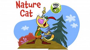 Wild Batts!/No Bird Left Behind! | Nature Cat