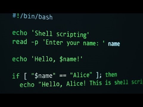 "shell scripting basics for beginners"