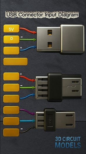 USB Connector Pinout | 3D Model Deep Details Explained 🔌✨ #shorts #viral #diy #usatech