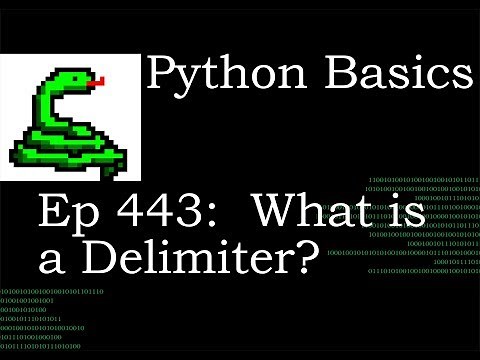 Python Basics What is a Delimiter?