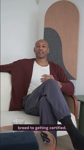 Service Dog Training Made Easy | Beginner’s Guide