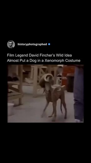 History Photographed on Instagram: "Behind the scenes of Alien 3, director David Fincher explored a truly unique special effects concept to bring the new Xenomorph to life.⁠ ⁠ His team designed a full-body latex costume for a Whippet dog, aiming to capture the creature's feral, quadrupedal movements.⁠ ⁠ The ambitious idea was ultimately scrapped when it became clear the dog's adorable demeanor made the terrifying monster look, in their words, "comical.""