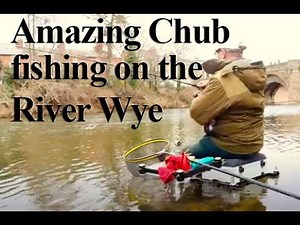 Incredible days fishing for chub on the river Wye
