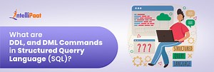 What are DDL and DML Commands in Structured Query Language (SQL)?