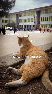 2.3K views · 105 reactions | #programmer #programmerlife #programmingmemes #programminghumor #HTML#javascript #java#javascriptchallenge#python#pythondeveloper#pythondev Programming Philippines Programming | Coding Programming Jokes & MeMes Javascript Programming Programming Coding (Developers and Programmers) HTML CSS AND JAVASCRIPT HTML CSS and JS projects ‍ Python Programming, Artificial Intelligence For Beginners Python Projects Community | Miller Amanta | Facebook