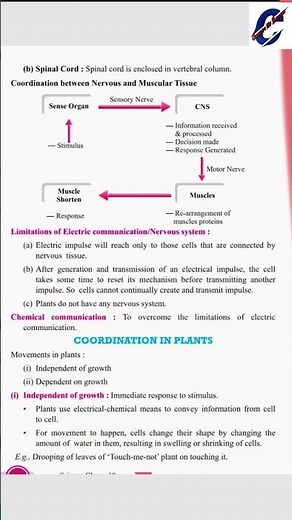 Control And Coordination Complete Chapter-7(Full Notes)CLASS-10 Science NCERT|Covered IN 1min|CBSE|