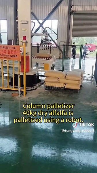 Robots in Packaging: Automation Solutions for Efficiency