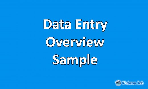 Data Entry Overview Sample & Example for Upwork - Webson Job