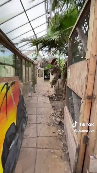 Exploring an Abandoned Zoo: Nature Takes Over