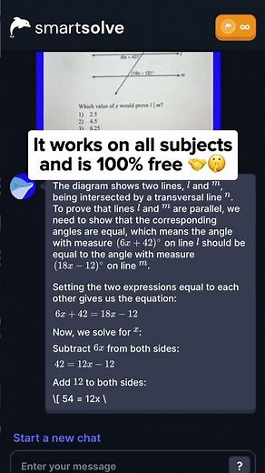 The BEST AI Homework Solver app!