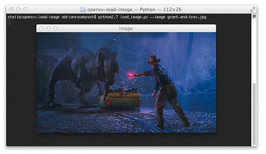 How-To: OpenCV Load an Image - PyImageSearch