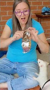 Scruffles the Ferret Opens Her Mystery Aphmau Plushie! 🐾