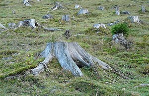 Design a Seeding Machine