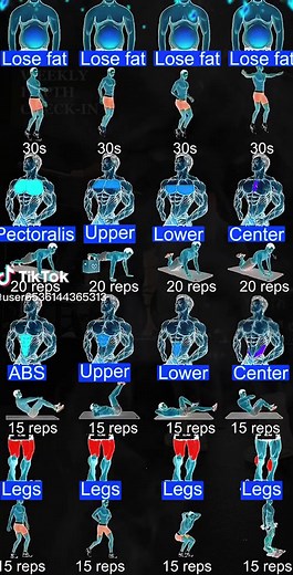 Full Body Exercises: Fitness Workout for Gym Training