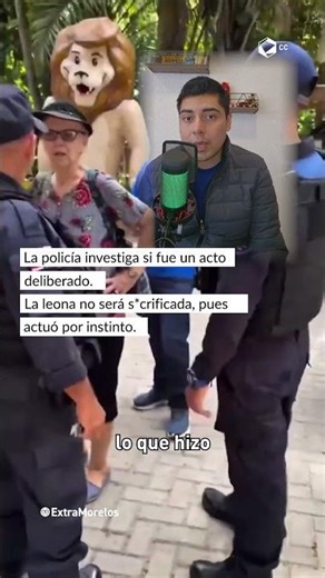 Young man entered lioness cage at Brazilian zoo and the ending was tragic