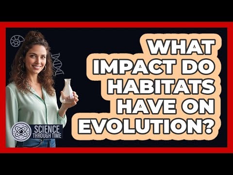 What Impact Do Habitats Have on Evolution?