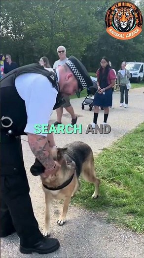 Top 3 Best Police and Military Dog Breeds | K9 Heroes