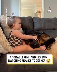 2.2M views · 88K reactions | How cute is this! 殺 | Dad Jokes | Facebook