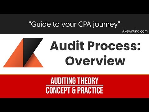Audit Process: Overview