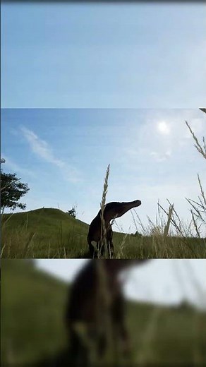 Baryonyx Gameplay Breakdown – Dondi’s Latest The Isle Evrima Showcase