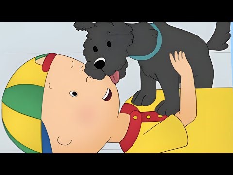 Pepper The Dog | Caillou's New Adventures