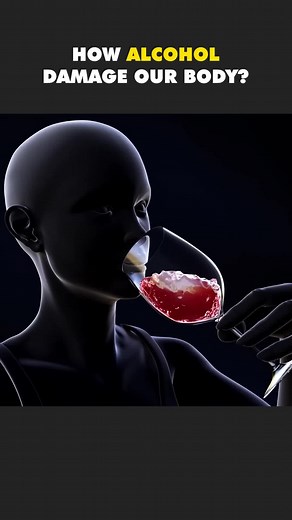 The Impacts of Alcohol on Your Body | Alcohol Damage Explained