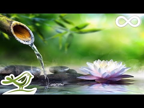 8 Hours of Relaxing Sleep Music • Sleeping Music, Relaxing Music, Fall Asleep Fast