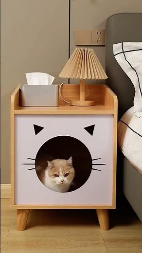 Transform Your Cat's Life / 50+Stunning Indoor Cat House Designs You Can DIY / Cat House 🏠#cathouse