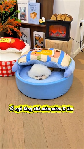 13K views · 99 reactions | Goon Store on Reels | Facebook