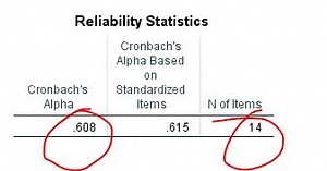 Cronbach's alpha using SPSS: An approach to Reliability Analysis