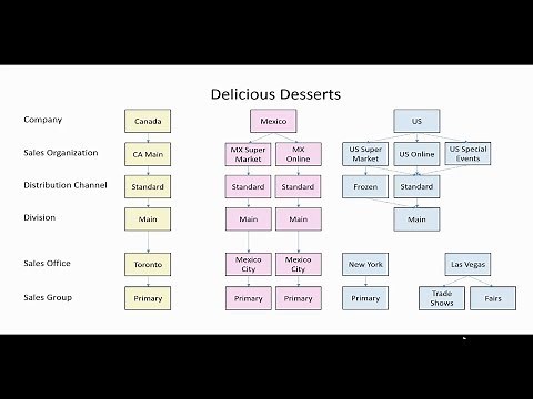 SAP SD Lesson - Sales Area