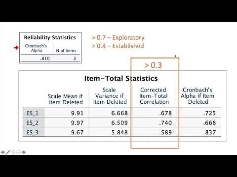 Reliability Analysis Using SPSS - Inter Item Consistency (Cronbach Alpha)
