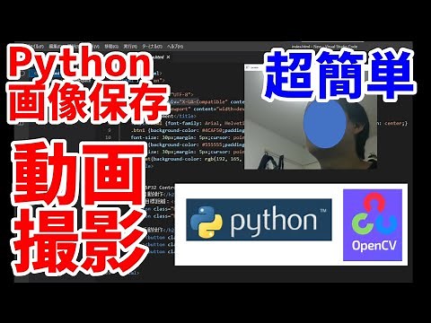 【超簡単】PythonとOpenCVでWebカメラを使って動画・画像保存を行う方法を紹介