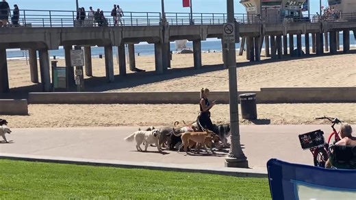 David Pendlebury on Reels