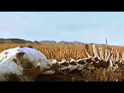 Discovery Dinosaurs - BBC Documentary 2015