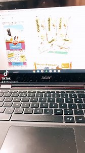 Safe & Unsafe Hamster Bedding - HamsterWelfare.com | Welfare Advice – Evidence – Care Information