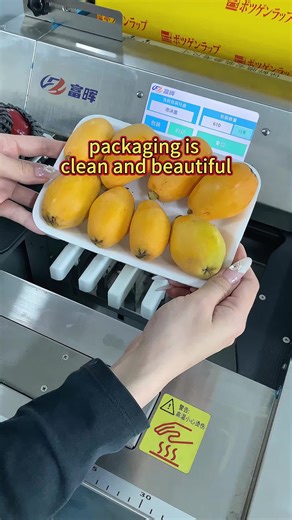 Fruits Packaging Machine for Automatic Packing Solutions