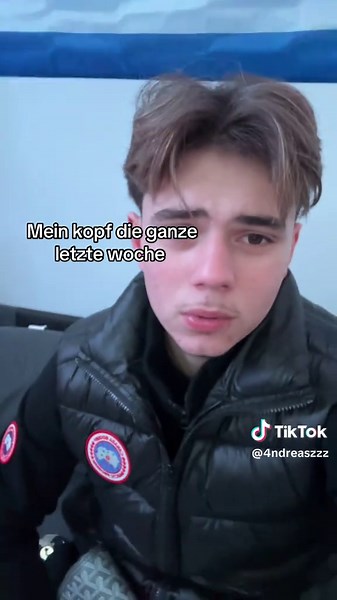 Exploring Goose Behavior in Nature