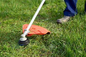 7 Creative Ways to Cut Grass Without a Lawnmower