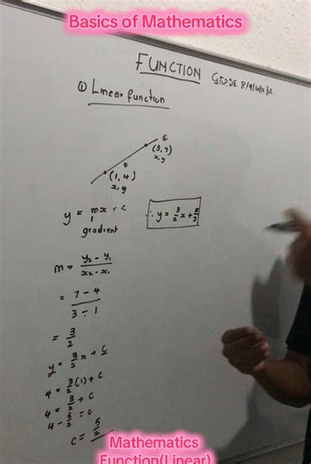 Mathematics: Understanding Linear Functions for Grades 8-12